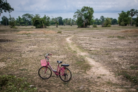 Pink bicycle in the field