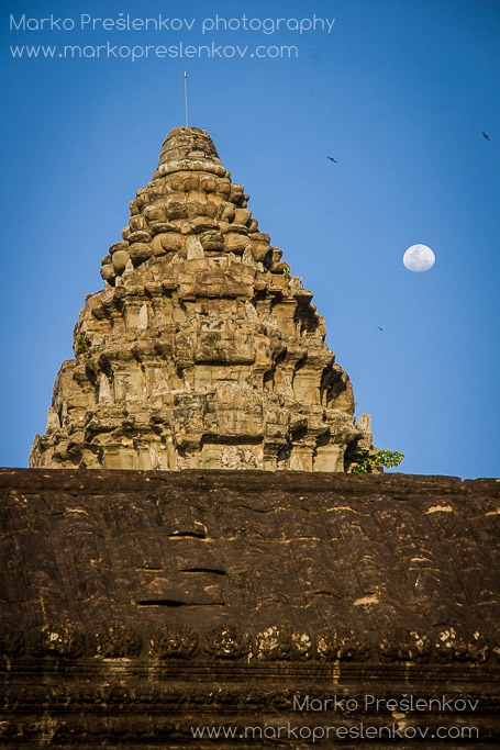 Birds and moon over Angkor Wat