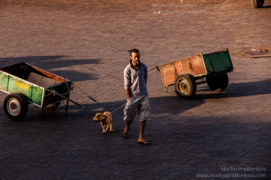 Walking a puppy on Djemaa el-Fnaa