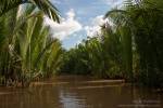 Down the small canals of Mekong Delta, Vietnam