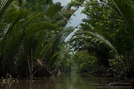 All alone in Mekong Delta