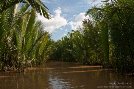 Down the river branch