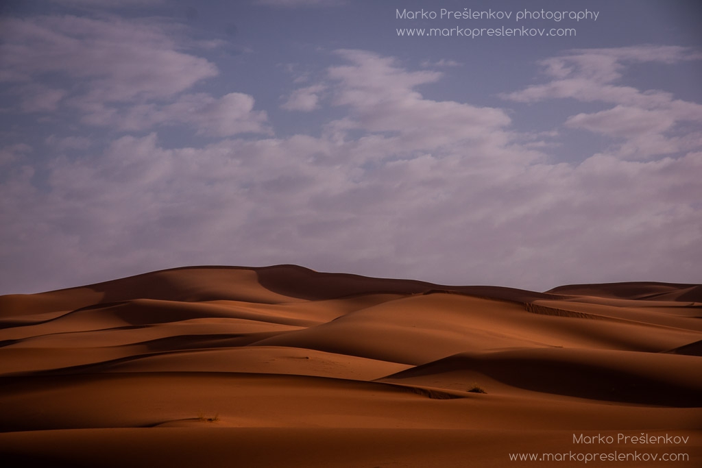 Dunes on horizon