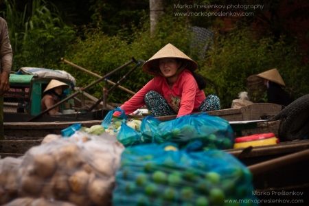 A look over the veggies