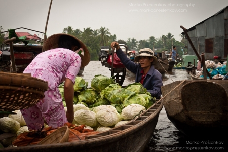 Cabbage and carrots boat
