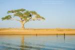 Living with Niger, Mali