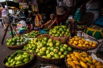 Baskets full of mangoes