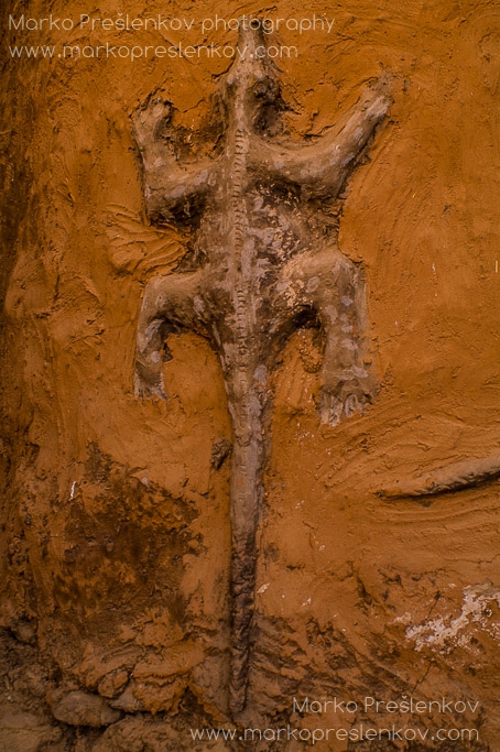 Crocodile on pre-Dogon wall