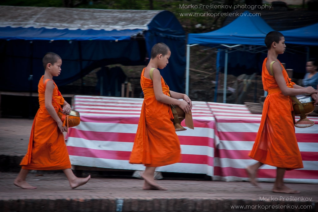 Young monks at alms procession