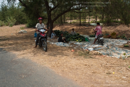Piles of watermelons