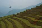 Sapa, Vietnam