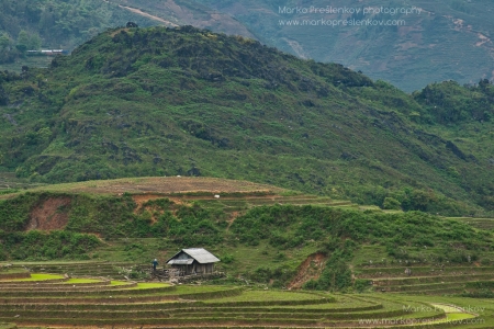 Circles in front of the hut