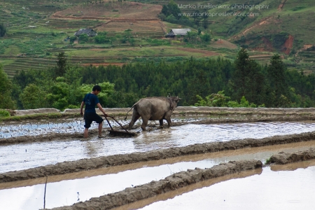 Knee deep in the mud