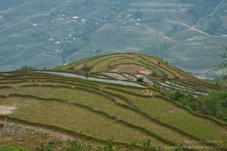 View down the paddy terraces