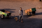 Walking a puppy on Djemaa el-Fnaa