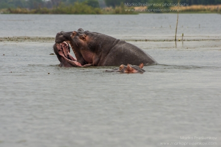 Climbing over the other