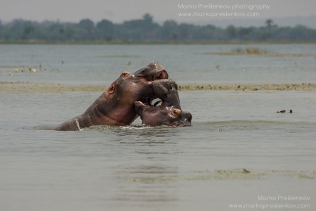 Exposing double chin