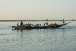 Camels escorting pinasse crossing