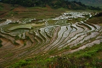 Paddy terraces full of water