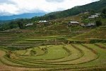 Rice amphitheater