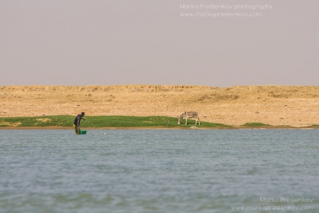 Knee deep in the Niger river