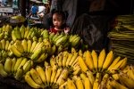 Wee Cambodian banana seller
