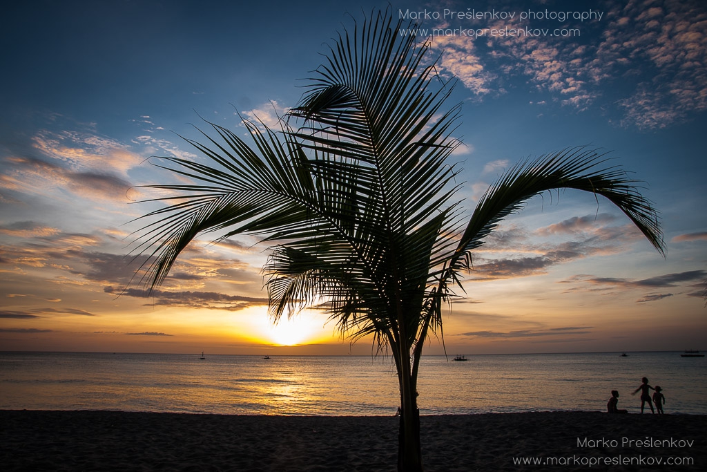 Sugar beach palm tree and children at sunset