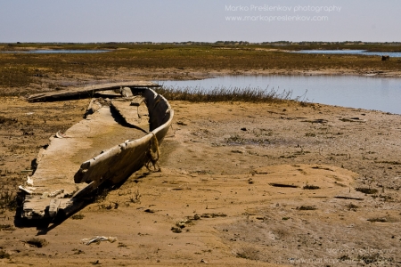 Remains