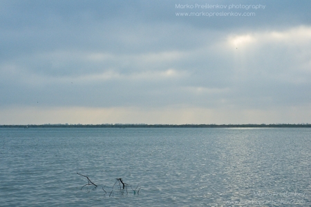 Early morning