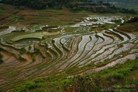 Paddy terraces full of water