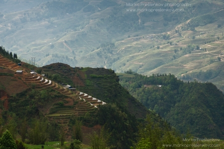 Stepped up rice terraces