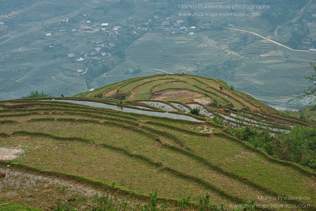 View down the paddy terraces
